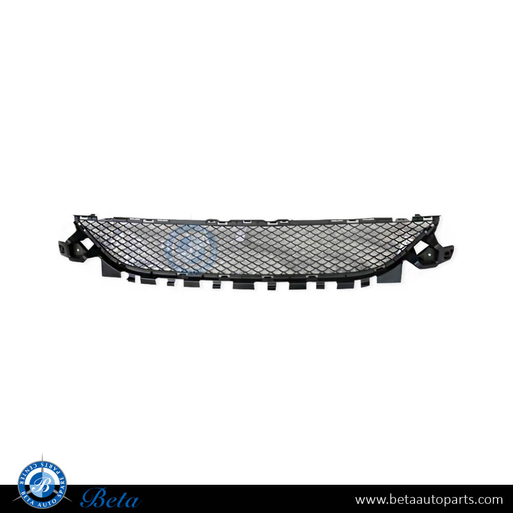 Front Bumper Lower Grille Normal AMG for Mercedes C-Class W205 2015-2018 models, Part Number 2058852123 Front Bumper Lower Grille Normal AMG for Mercedes C-Class W205 2015-2018 models, Part Number 2058852123